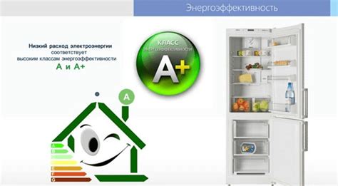 Роль дизайна в энергоэффективности бытовой техники